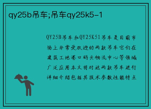 qy25b吊车;吊车qy25k5-1